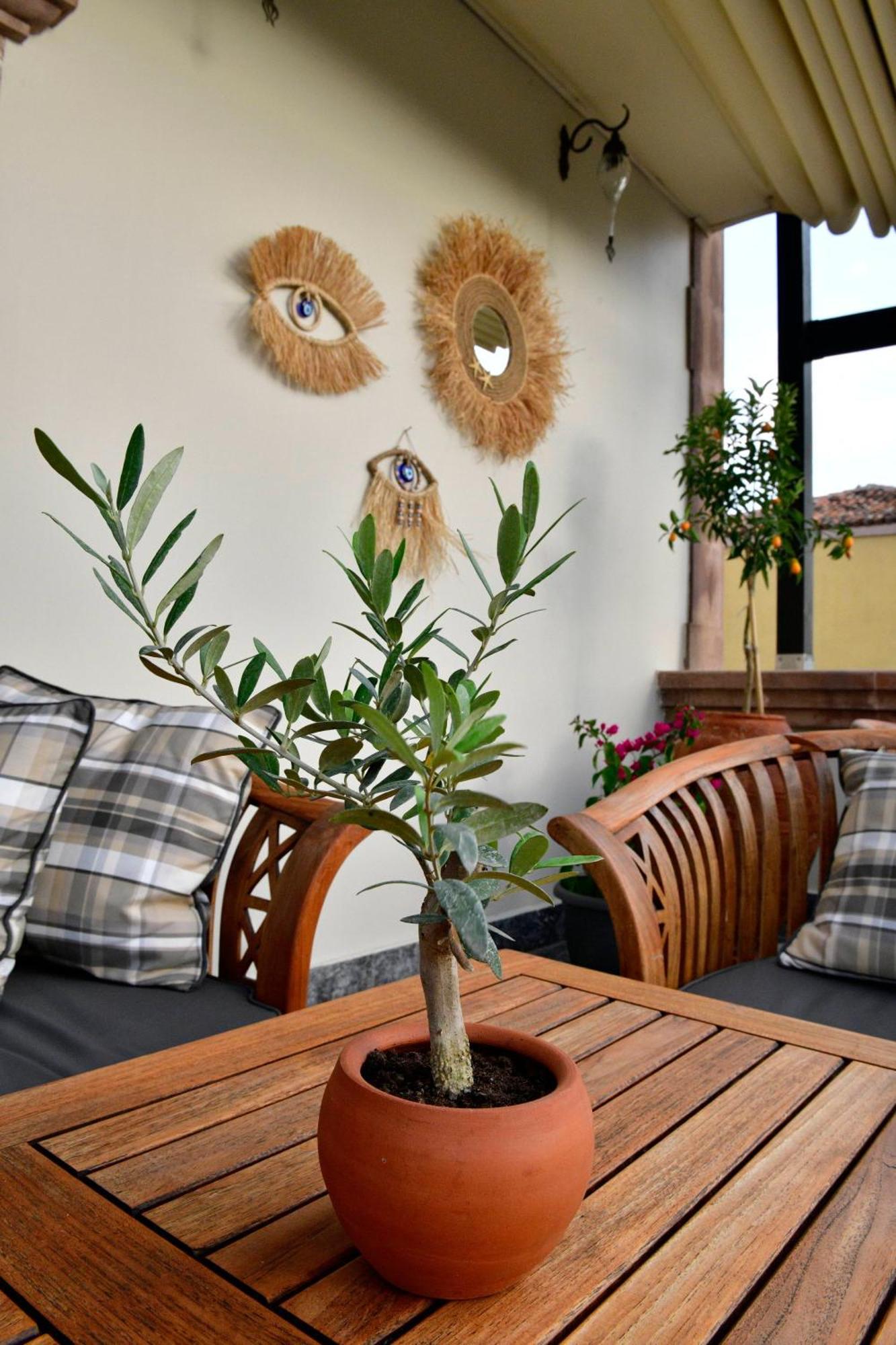 Hotel Siyah Lale Cunda 1841 (Adults Only) Ayvalı Esterno foto