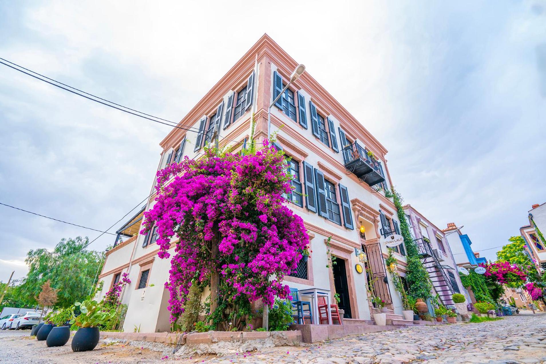Hotel Siyah Lale Cunda 1841 (Adults Only) Ayvalı Esterno foto