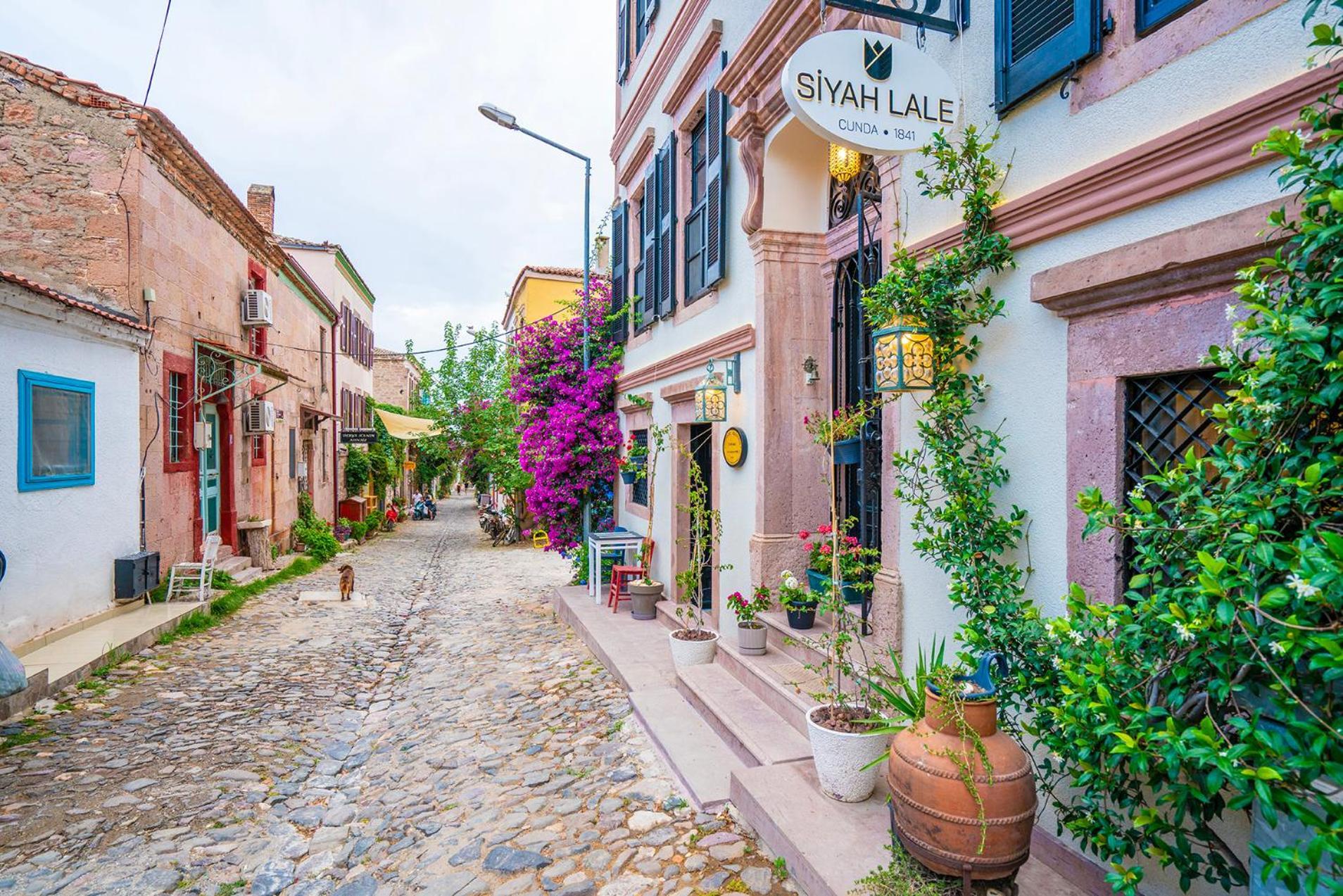Hotel Siyah Lale Cunda 1841 (Adults Only) Ayvalı Esterno foto