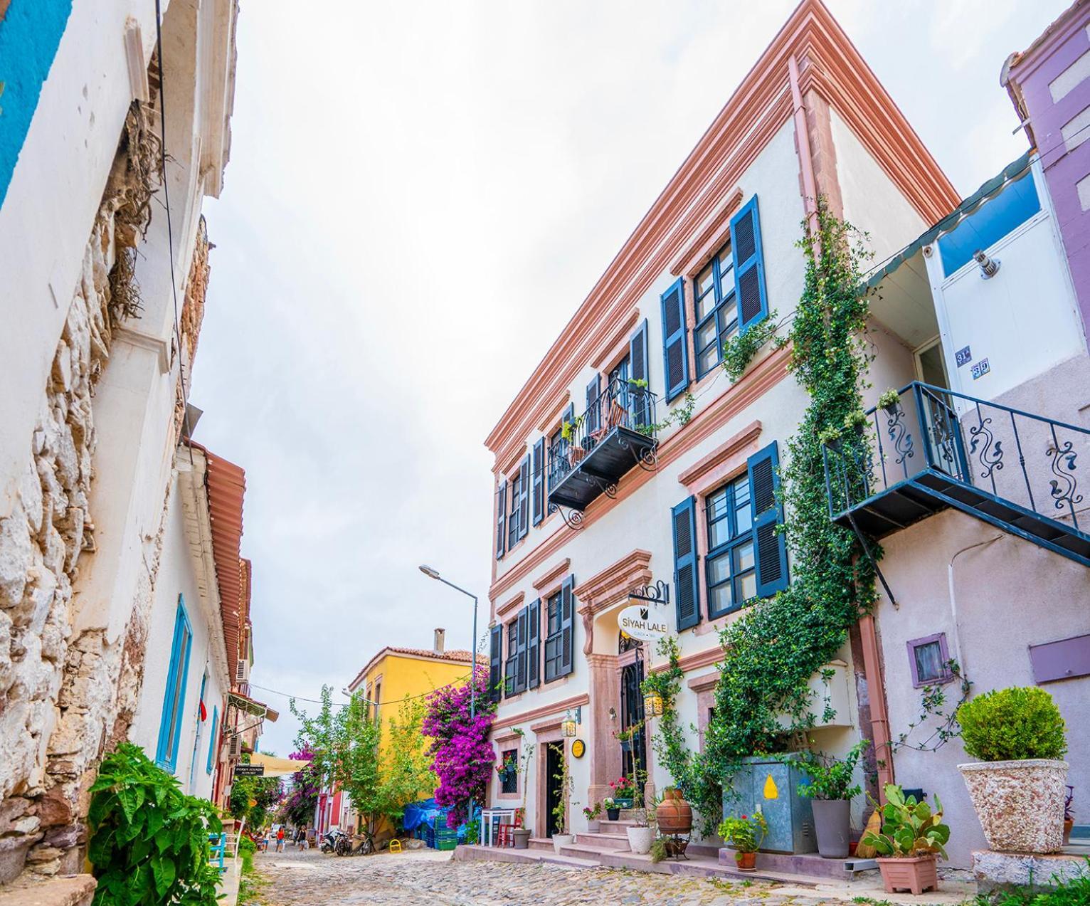 Hotel Siyah Lale Cunda 1841 (Adults Only) Ayvalı Esterno foto