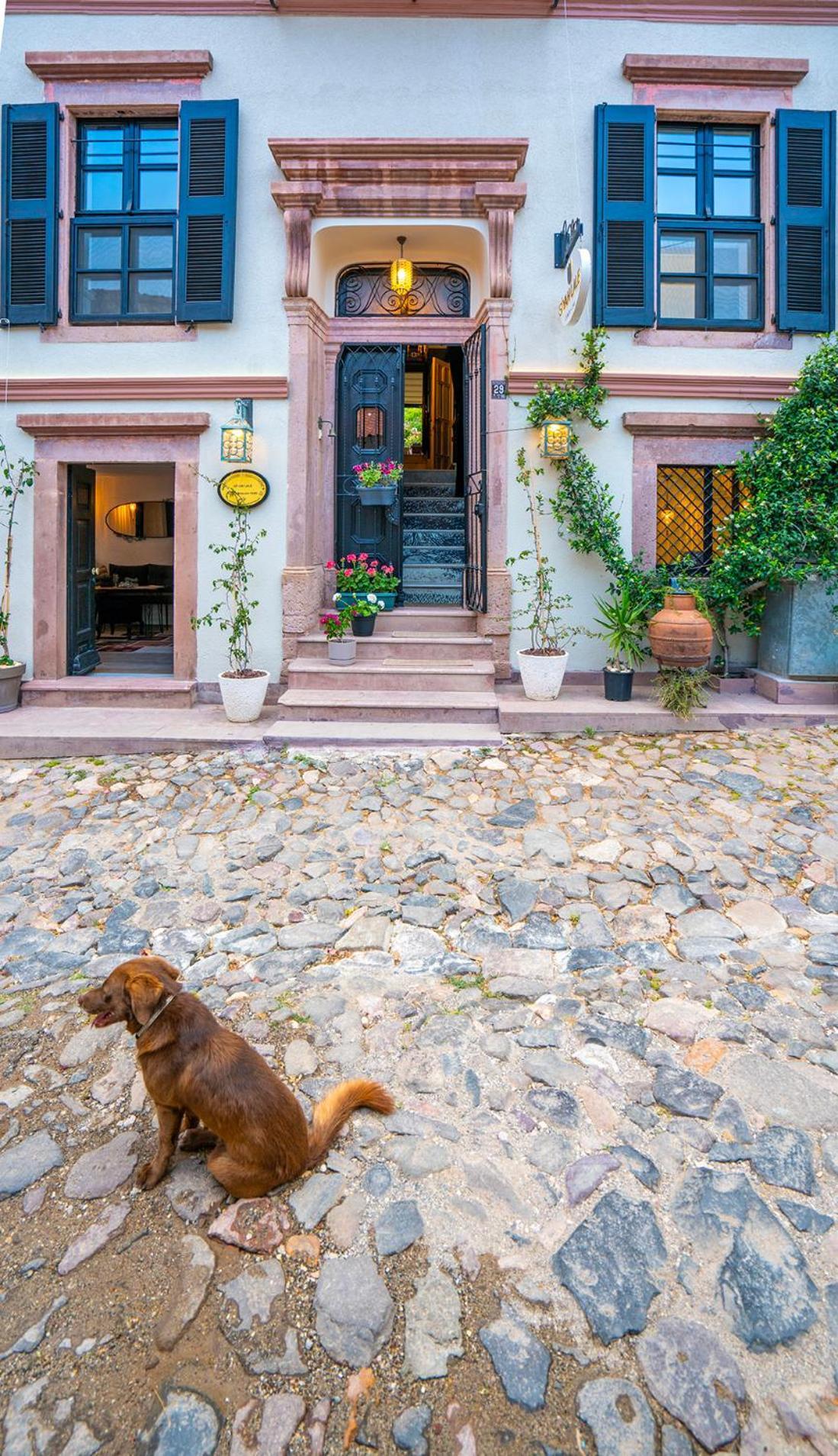 Hotel Siyah Lale Cunda 1841 (Adults Only) Ayvalı Esterno foto