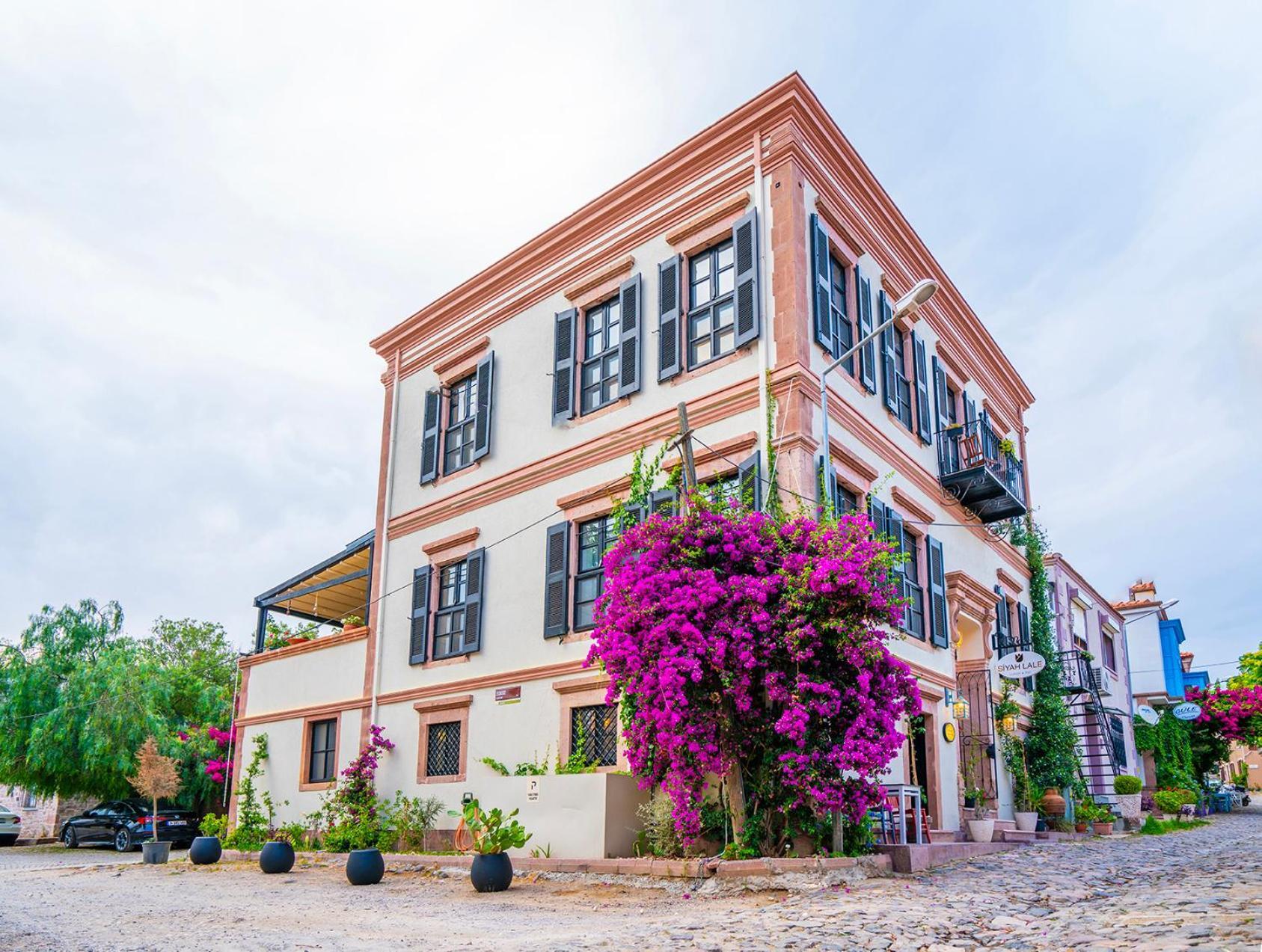 Hotel Siyah Lale Cunda 1841 (Adults Only) Ayvalı Esterno foto